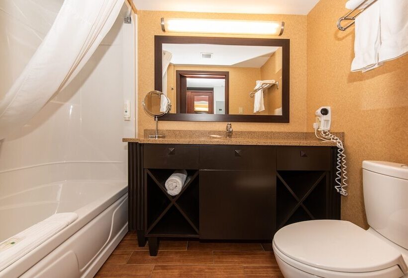 酒店 Quality Inn & Suites