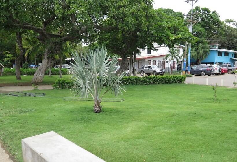 هتل The Palms At Coco Beach