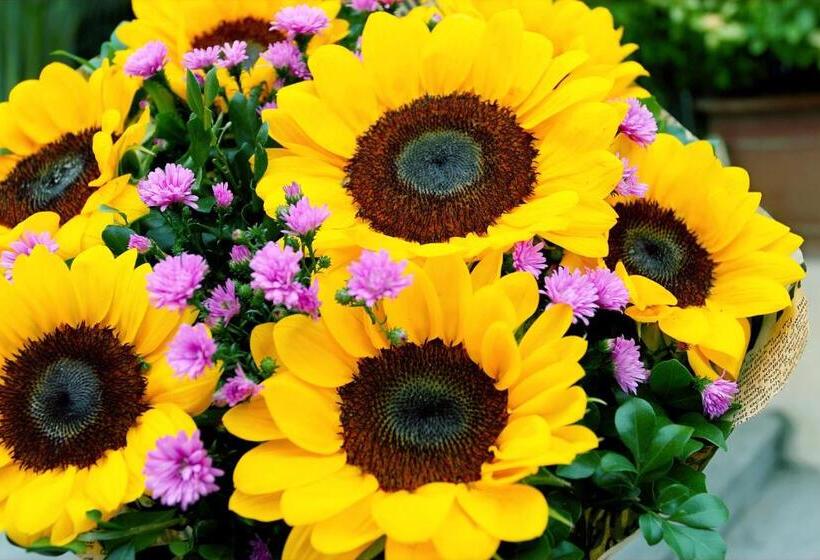 پانسیون Apartamento Céntrico Zona Cultural