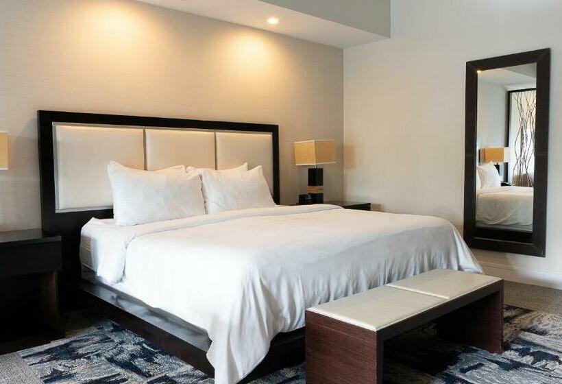 Modern Private Studio   King Bed, Jacuzzi, Balcony And Pool