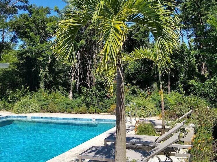 هتل Palm Beach Inn