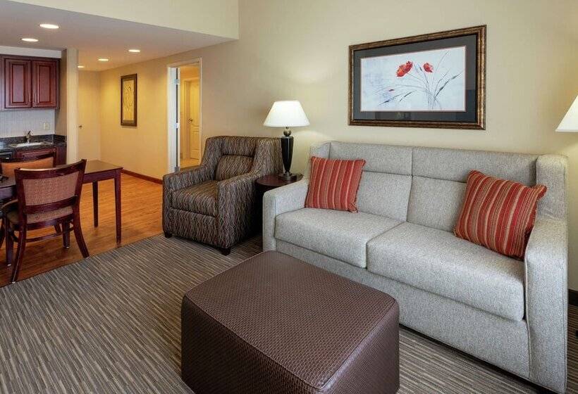 호텔 Homewood Suites By Hilton St Louis Park At West End