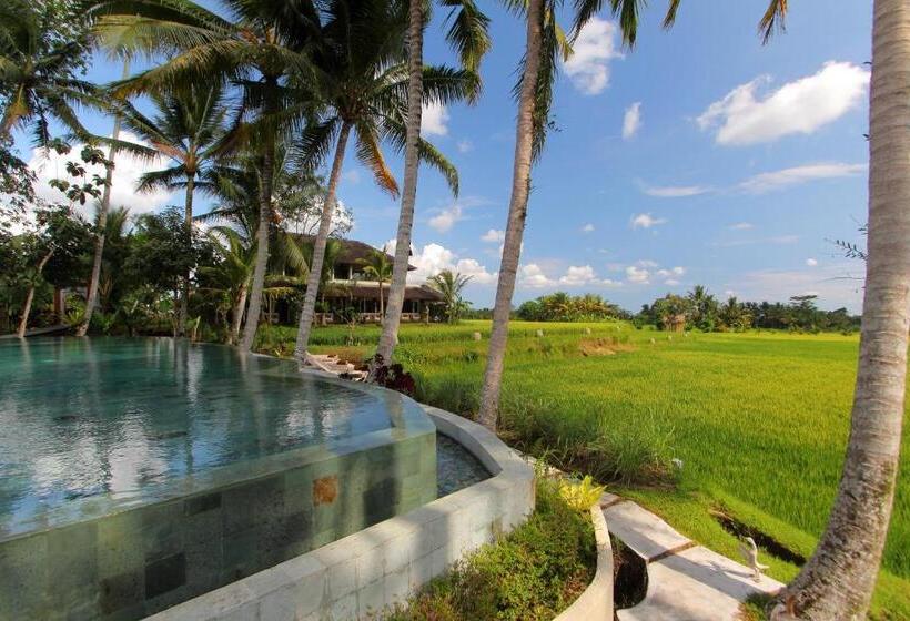 هتل Mathis Retreat Ubud