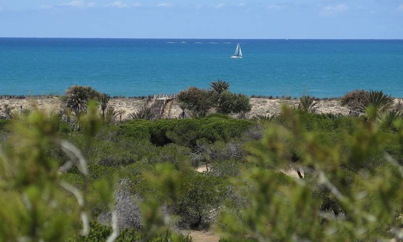 אתר נופש Alannia Guardamar