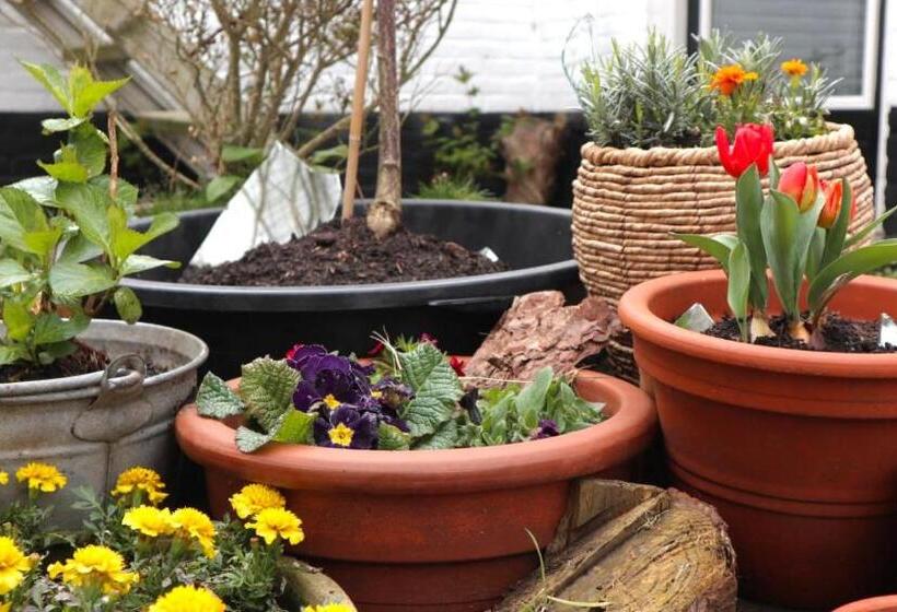 بنسيون De Witte Handt