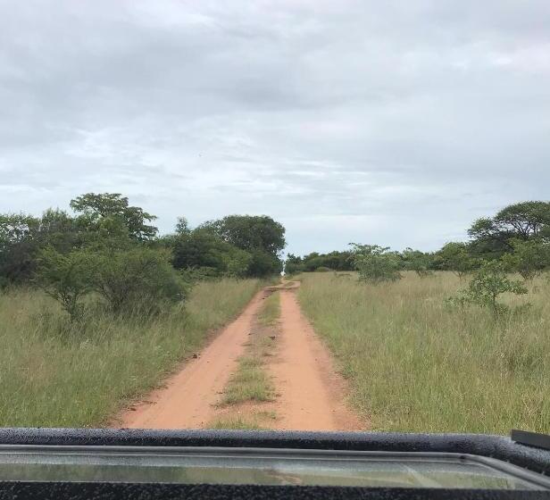 ベッドアンドブレックファースト Tamboti Bush Lodge
