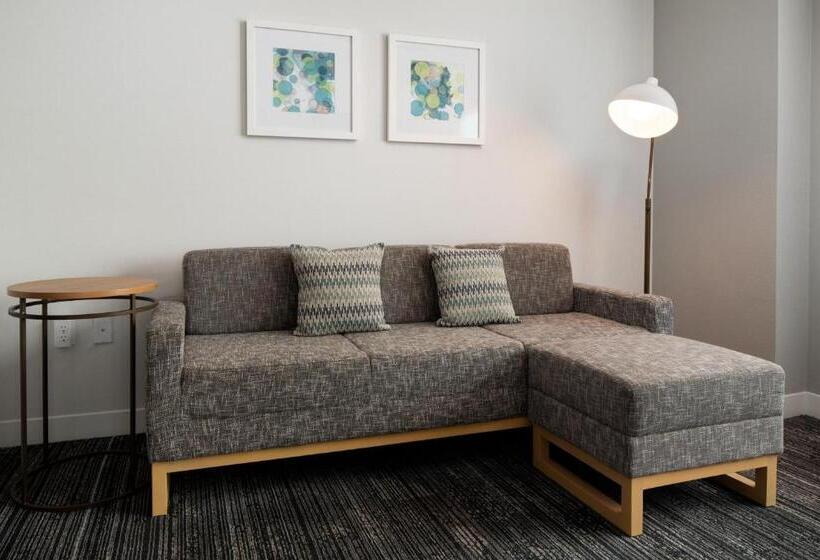هتل Towneplace Suites By Marriott Las Vegas North I15