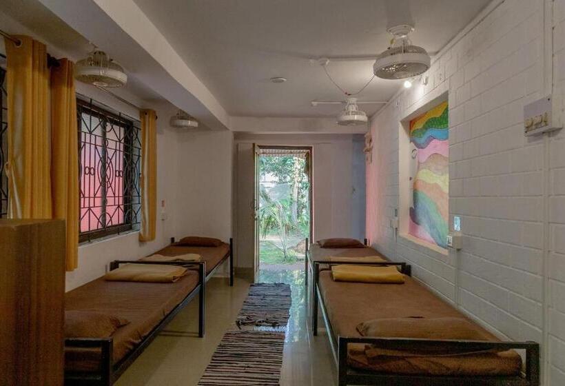 הוסטל Bunknbrew