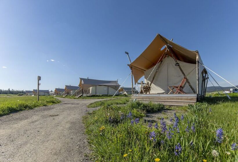 فندق Under Canvas West Yellowstone