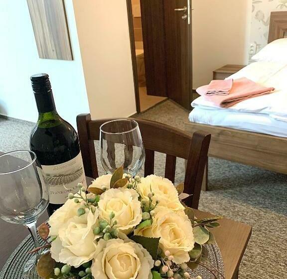 پانسیون Ubytování Selský Dvůr