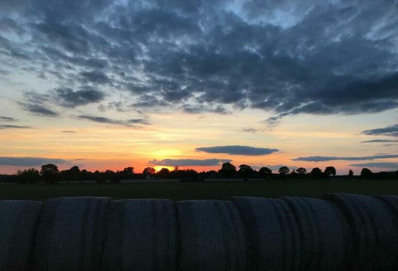 مبيت وإفطار Altenmedinger Hof