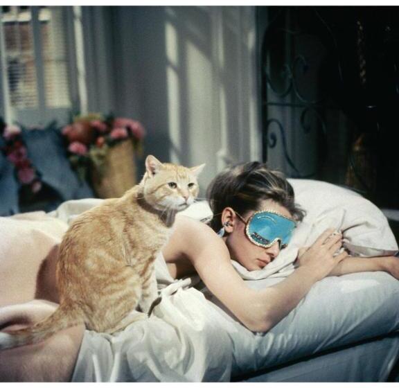 פנסיון Hostal El Molino