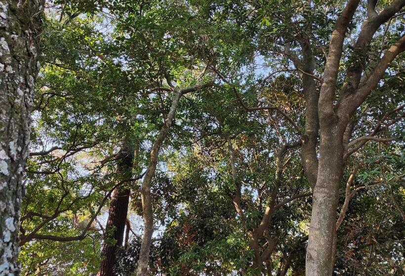 Heiwadai Hotel Otemon