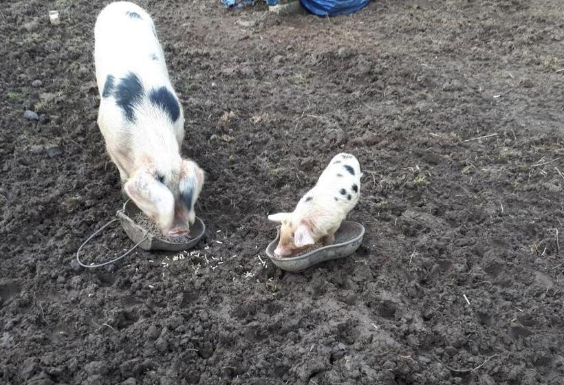 צימר The Byre North End Farm