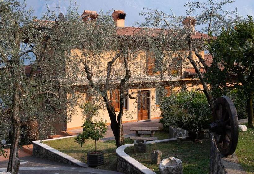 تختخواب و صبحانه Guesthouse Villa Tamas