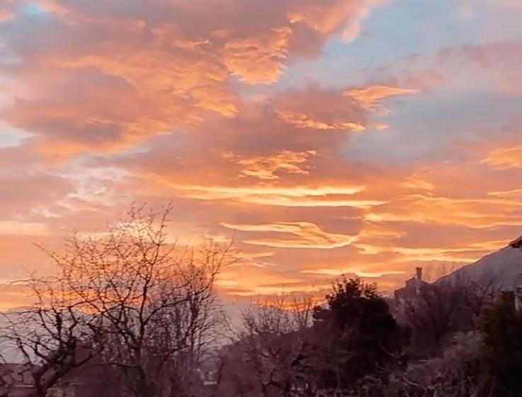 بنسيون Casa Dell Agrifoglio