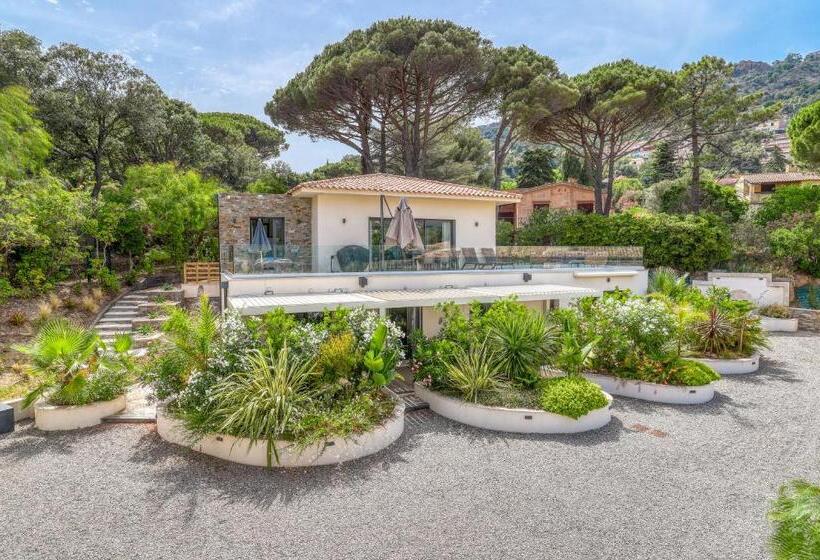 酒店 Akwabay   Les Villas Du Cap