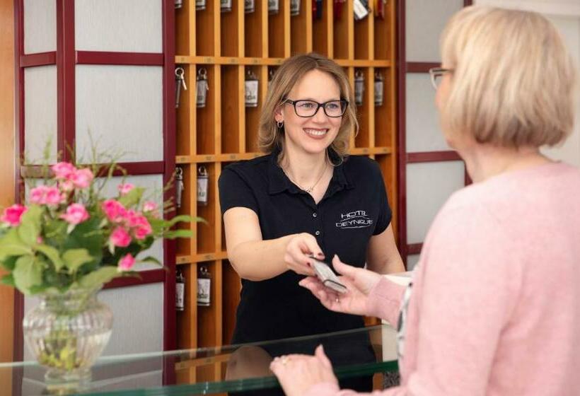 בית מלון כפרי Deynique