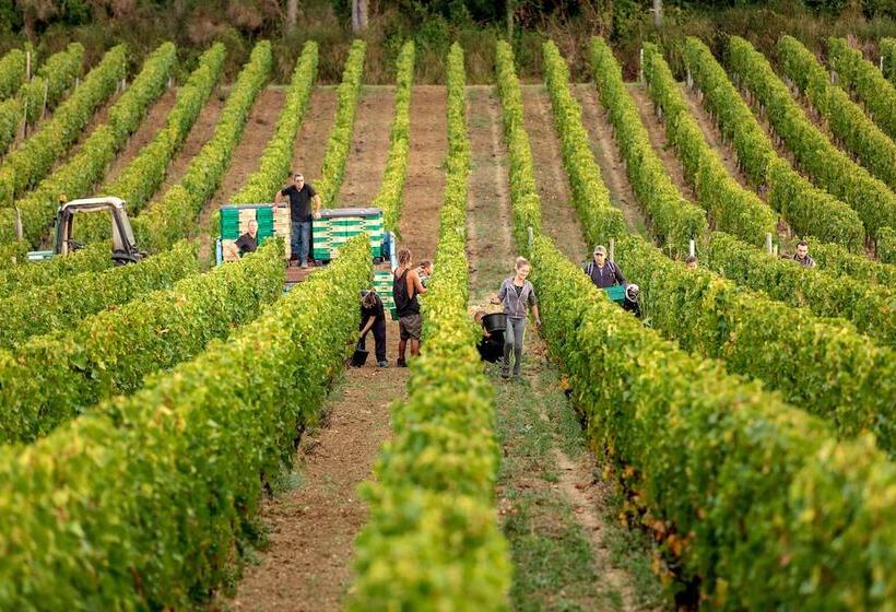 ベッドアンドブレックファースト Petit Monlot   Saint Emilion