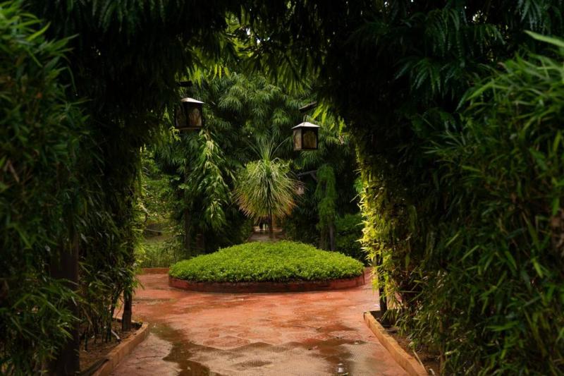 فندق The Fern Ranthambore Forest Resort Rajasthan