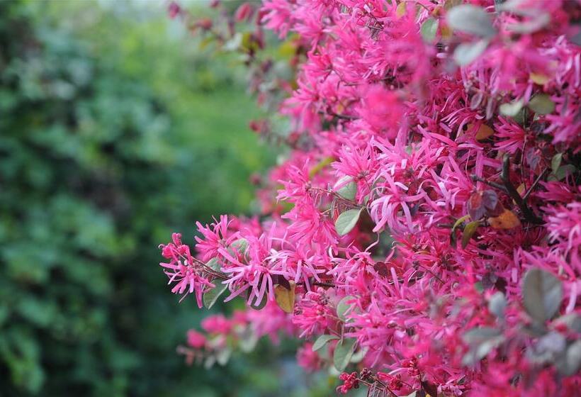 Jinling Resort Nanjing