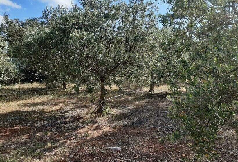 تختخواب و صبحانه Villa Xanadu