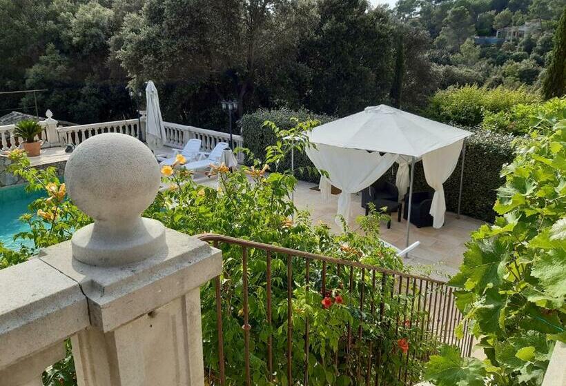 تختخواب و صبحانه Villa Xanadu