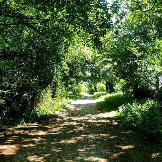 펜션 The Cozy Shed