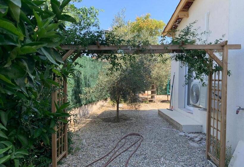 تختخواب و صبحانه L’olivier De Manel