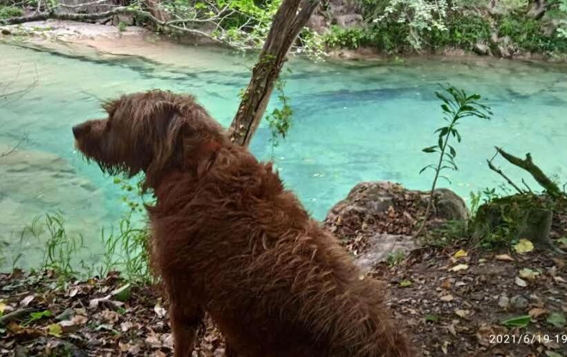 پانسیون La Terraza