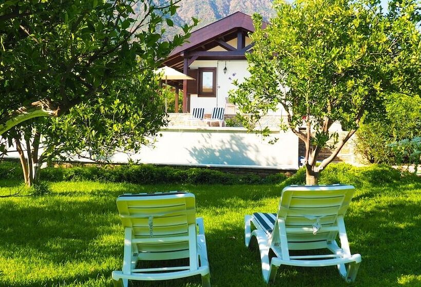 پانسیون Mandarin Guesthouse   Adult Only