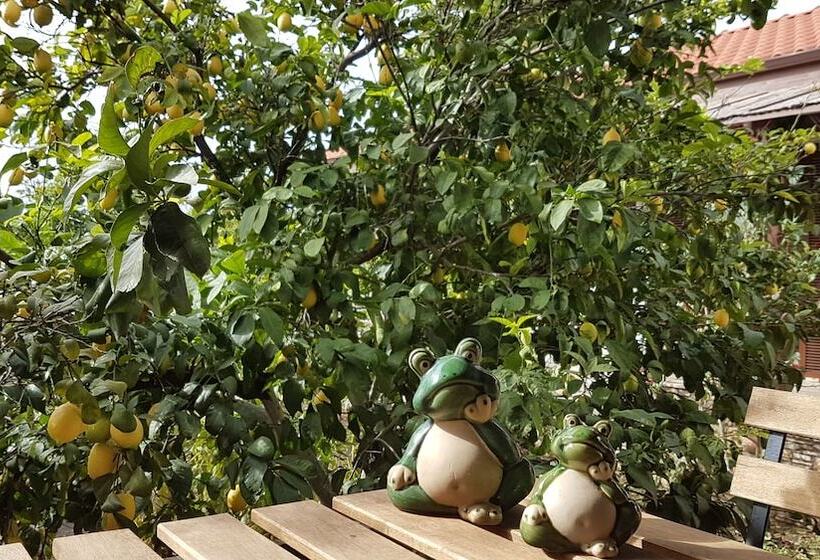 پانسیون Mandarin Guesthouse   Adult Only