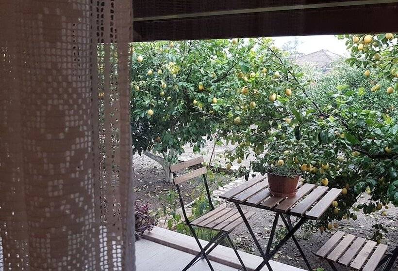 پانسیون Mandarin Guesthouse   Adult Only