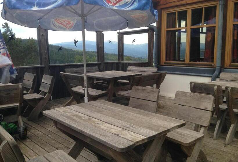 旅馆 Alpengasthof Hoiswirt