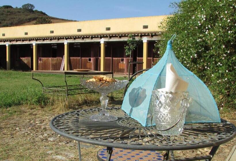 فندق Cavalli Di S Arcaite