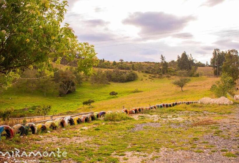 هاستل Miramonte Hostal