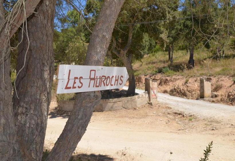 צימר Les Aurochs