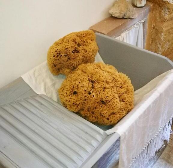 تختخواب و صبحانه Zabbara