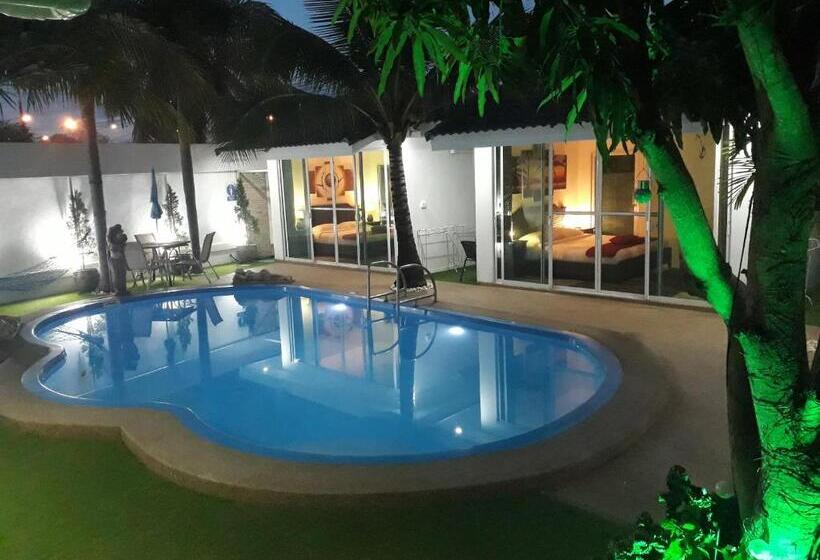 بنسيون Coconut Palms