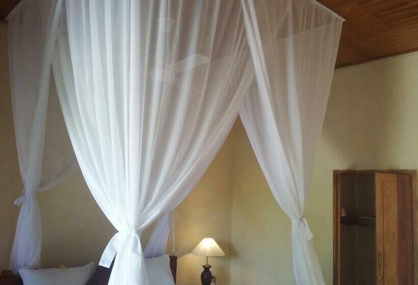 펜션 Molleh Guest House