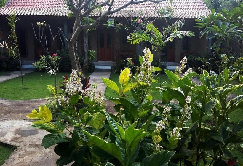 펜션 Molleh Guest House