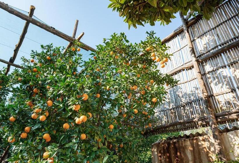 פנסיון Pane E Marmellata