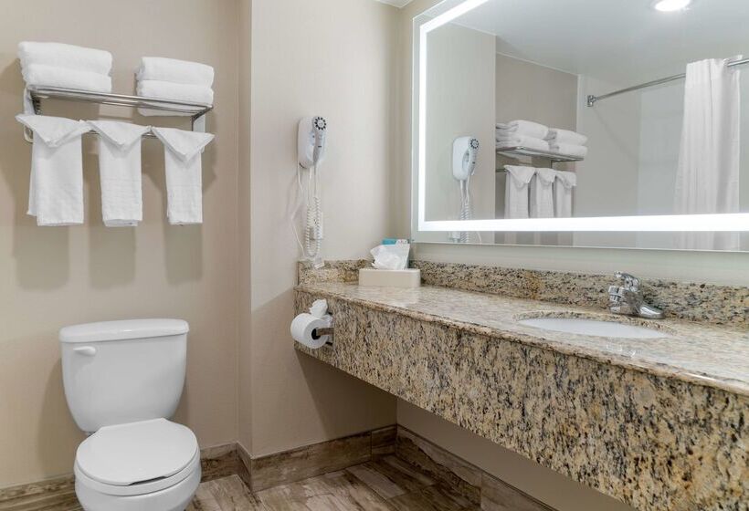 هتل Best Western Executive Inn & Suites