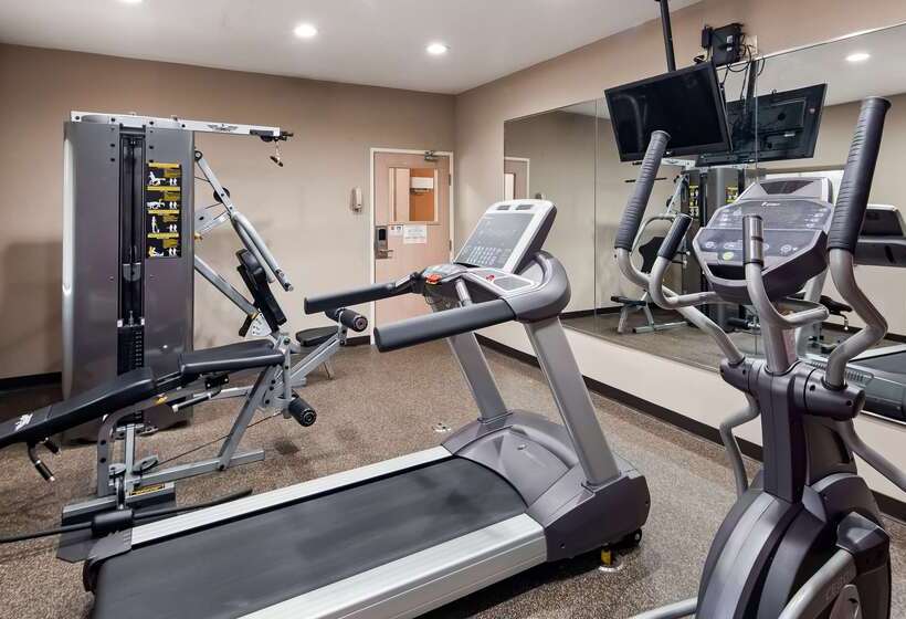 בית מלון כפרי Best Western Muscatine   Pearl City