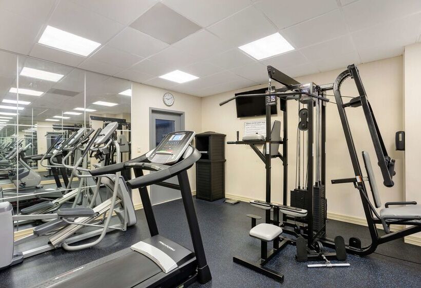 ホテル Best Western Plus Reading Inn & Suites