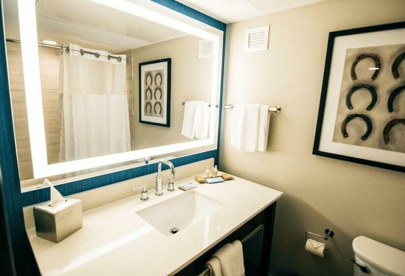 فندق Doubletree By Hilton Lubbock  University Area