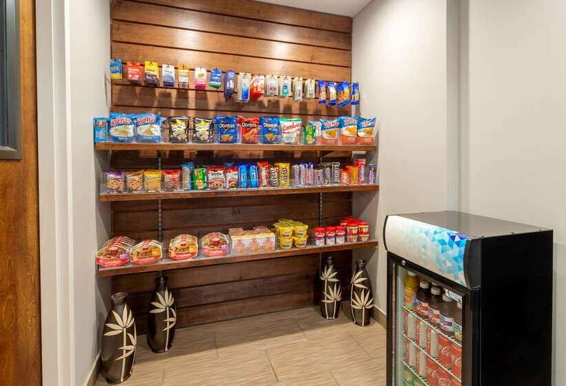 ホテル Hawthorn Suites By Wyndham Allentownfogelsville