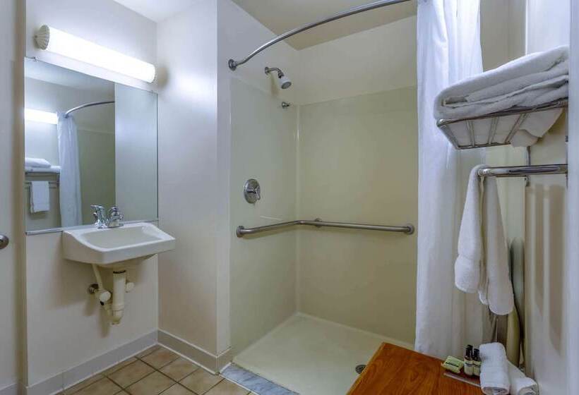 ホテル Hawthorn Suites By Wyndham Allentownfogelsville