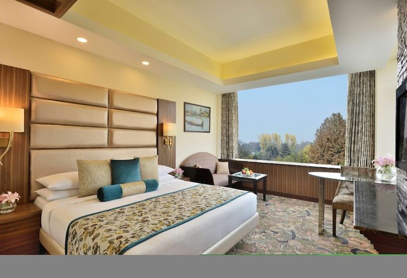 Отель Radisson Srinagar