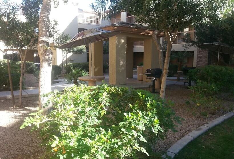 فندق Siegel Select Casa Grande